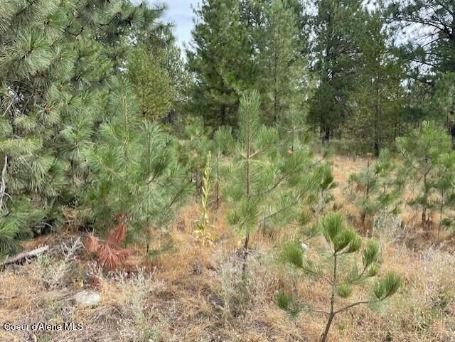 Property Photo:  Lot 4 Sheep Springs Rd  ID 83801 
