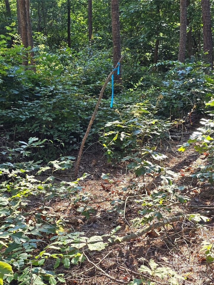 Property Photo: Tbd Wildwood Road NC 28146