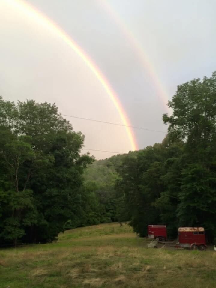 Property Photo:  1099 Hominy Creek Rd  WV 26679 