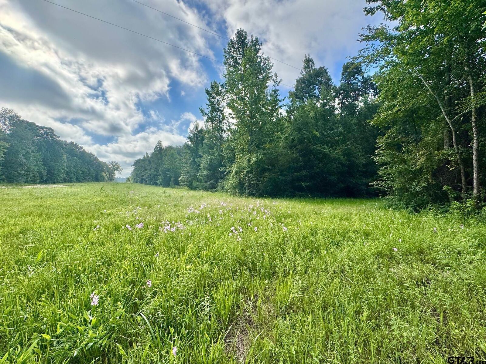 Property Photo:  Tbd Cr 369  TX 75792 