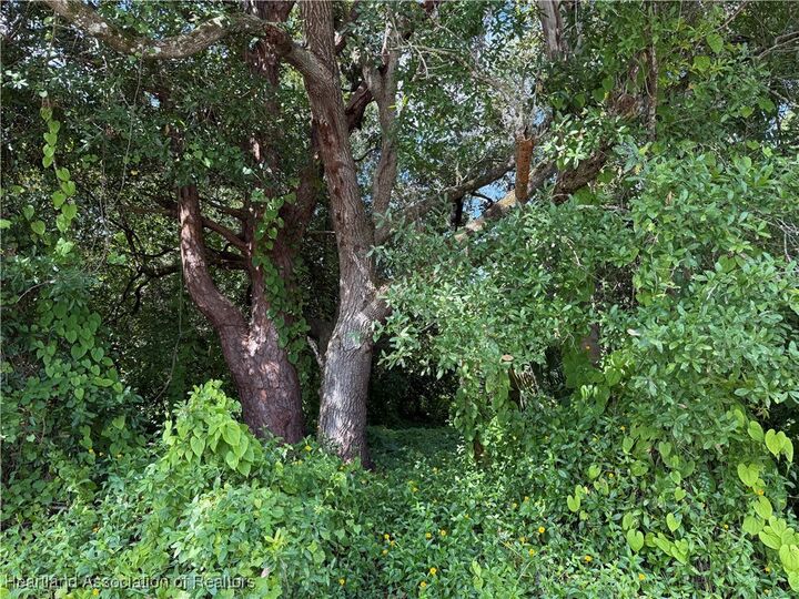 Property Photo:  1059 Lake Carrie Drive  FL 33852 