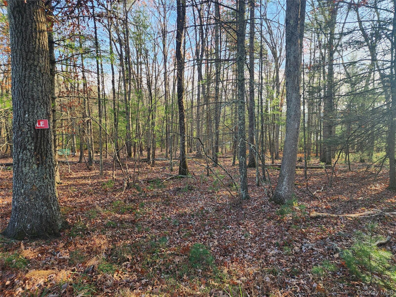 Property Photo: 0 Taras Schevchenko Road NY 12737