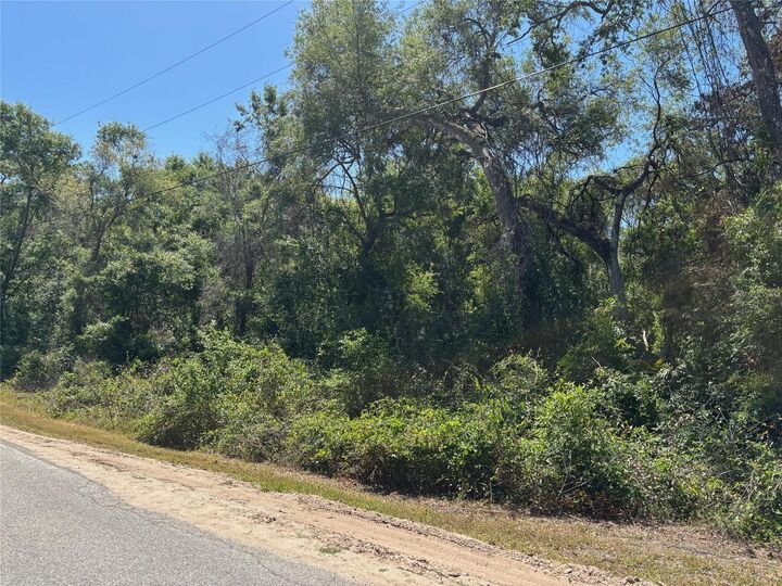 Property Photo:  Lot 175C Madison Avenue  FL 33523 