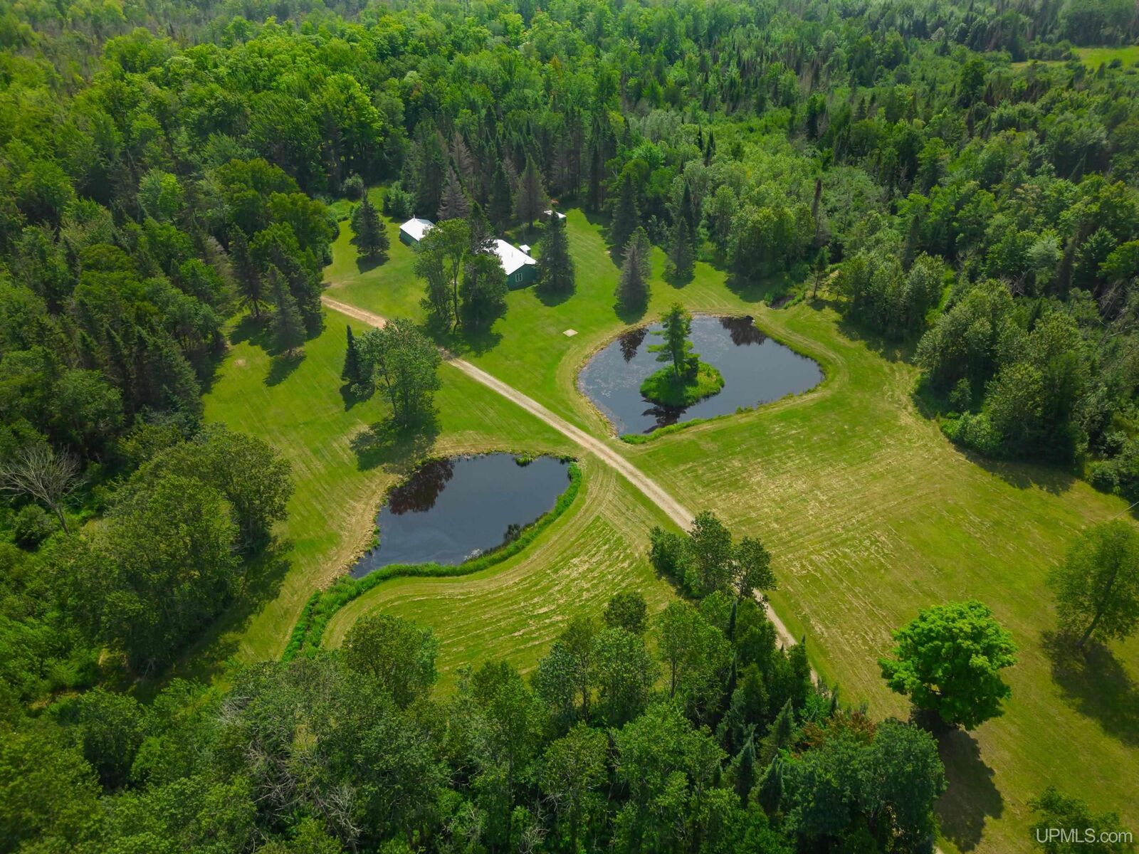 Property Photo:  16151 Forest Road  MI 49880 