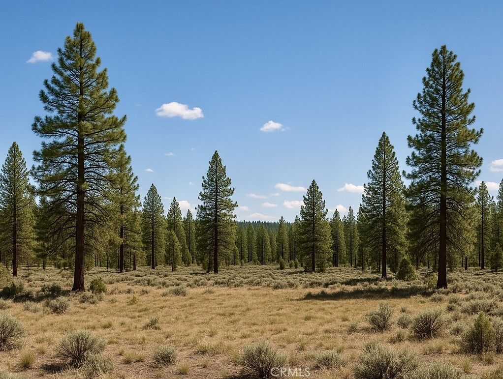 Property Photo:  0 California Pines Blvd  CA 96101 