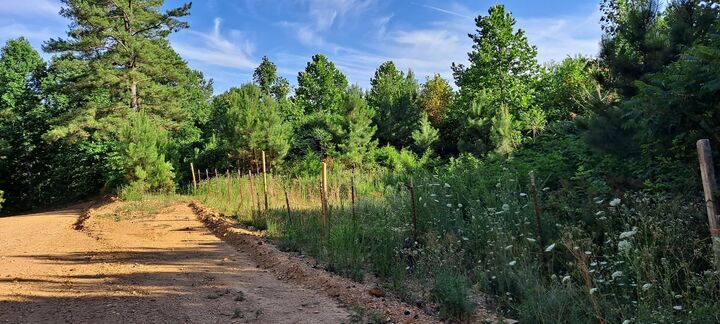 0 Ed Lyell Road  Lyles TN 37098 photo