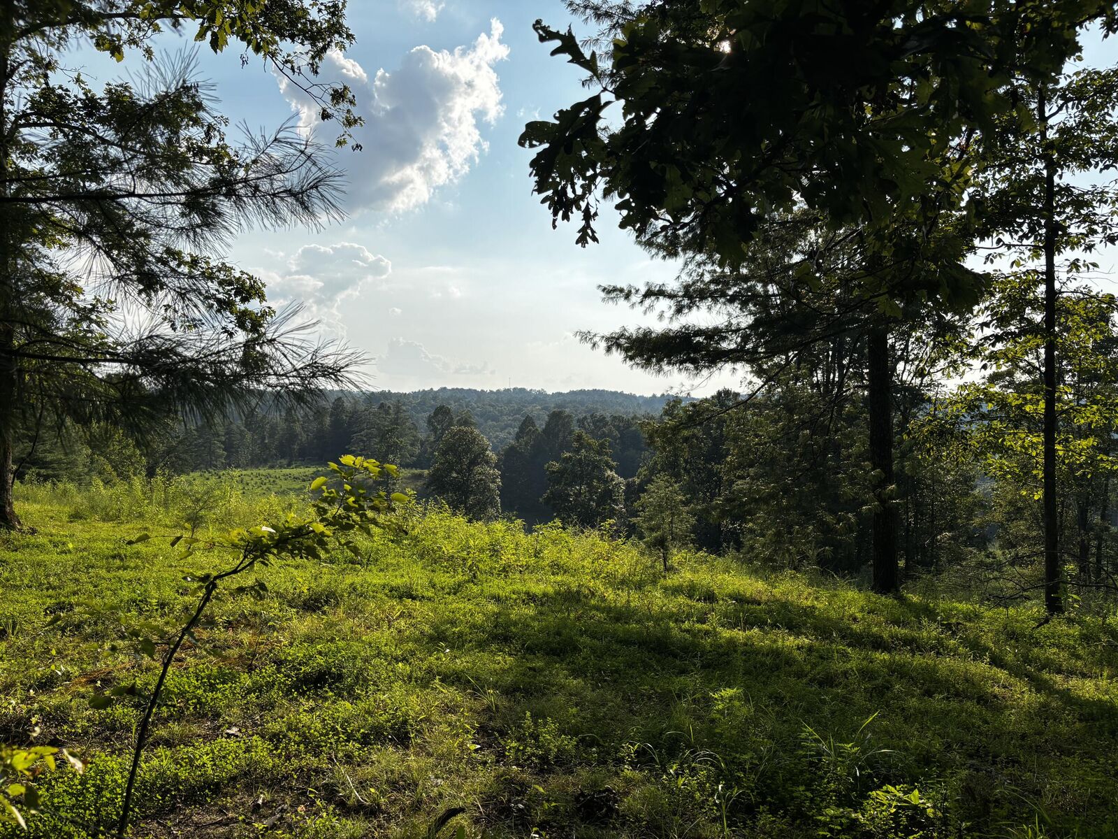 Property Photo: Lot 9 Victory Falls Development KY 41301