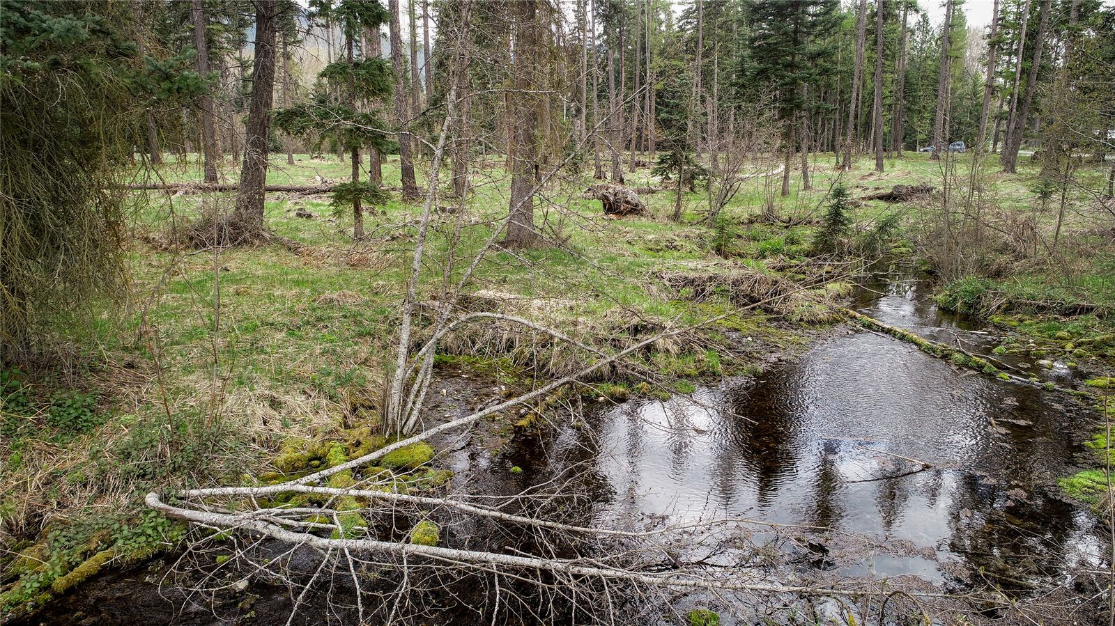 Property Photo:  79 Fallen Bear Lane  MT 59923 