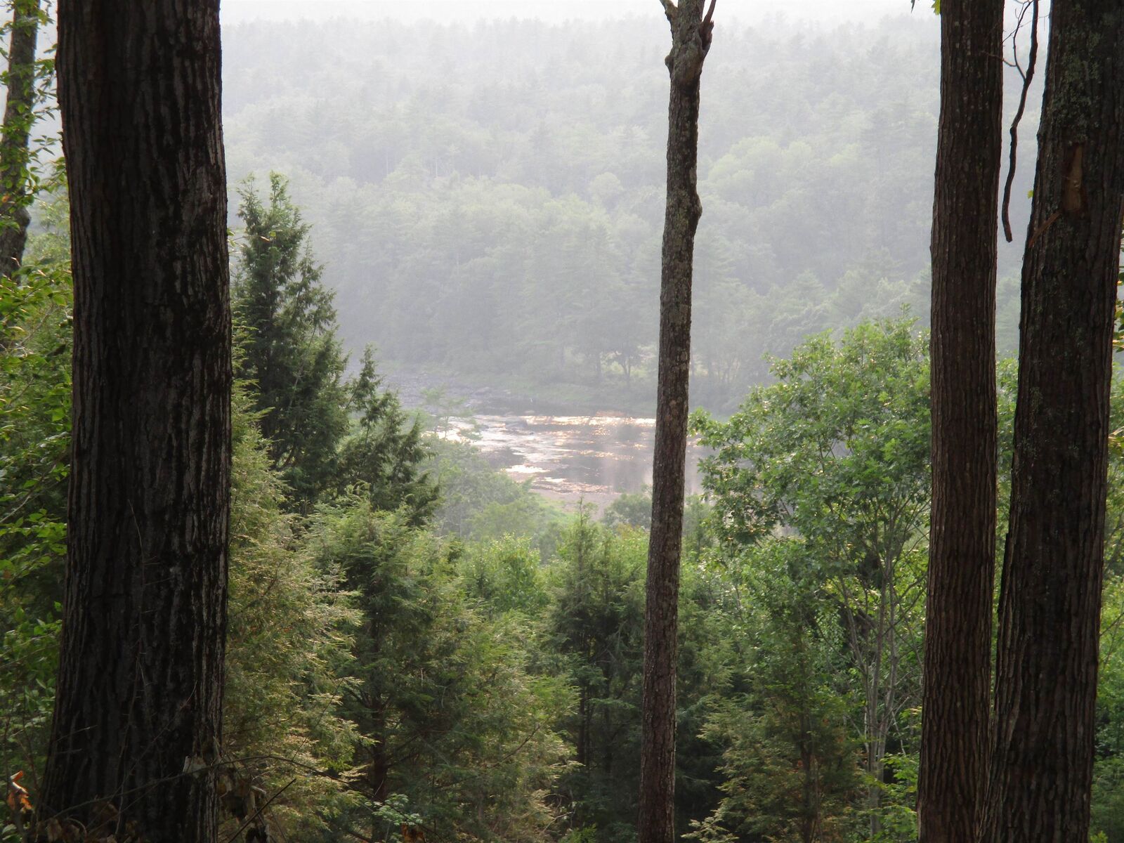 Property Photo:  7-351-B Patterson Hill Road  NH 03242 