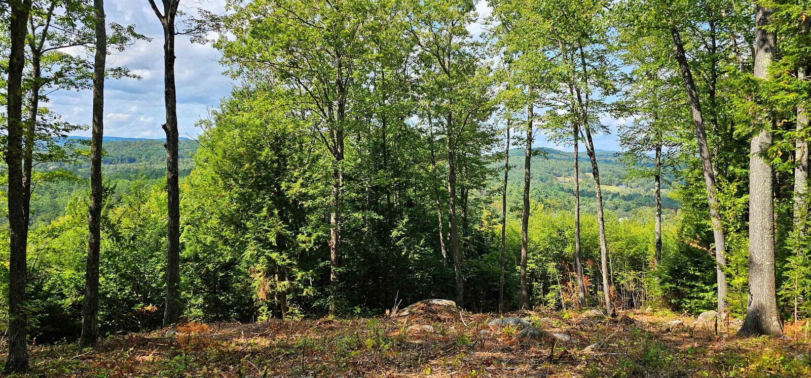 Property Photo:  7-351-B Patterson Hill Road  NH 03242 