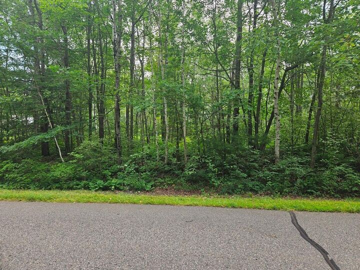 Property Photo:  Lot 4 Blk 2 SW 1st Avenue  MN 55744 