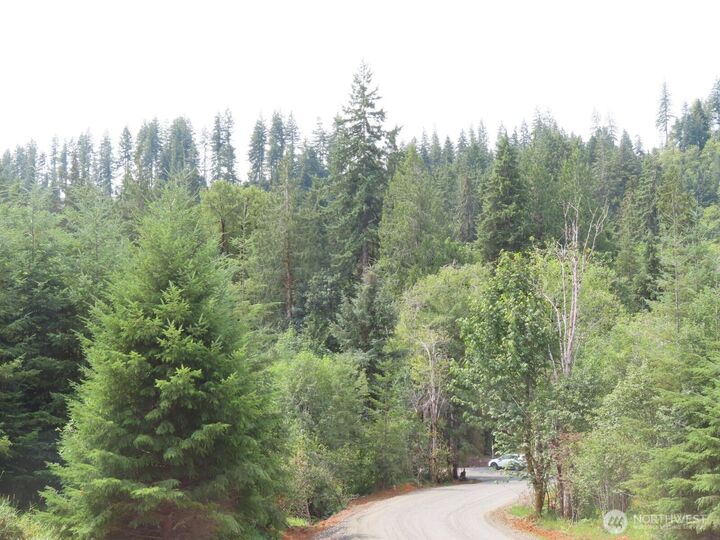 Property Photo: 0 Lot E Mill Creek Lane WA 98632