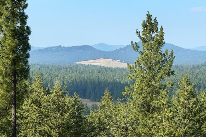 Property Photo: 84xx Lodge Pole Ln WA 99003