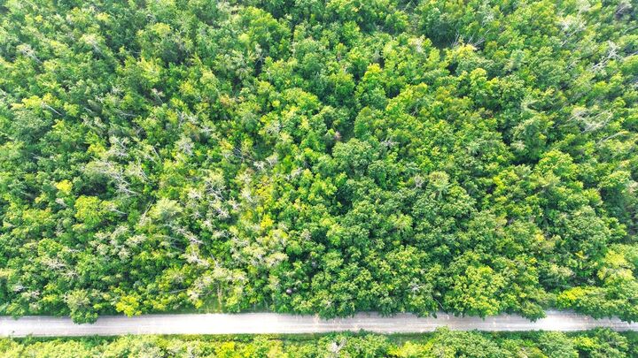 Property Photo:  1797 Derby Road  MI 49749 