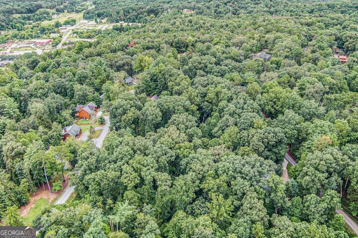 Property Photo:  Lot 72 Huron Circle 72  GA 30540 