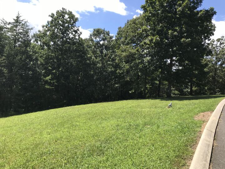 Property Photo: 0 Skyhigh Drive TN 37327