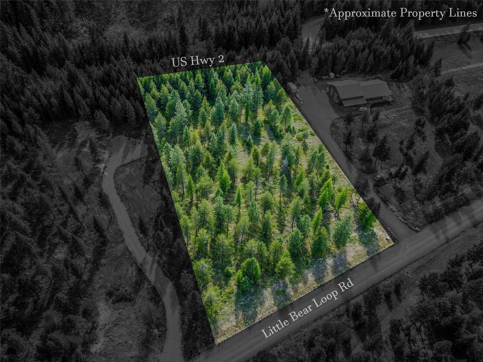Property Photo:  Nhn Little Bear Loop  MT 59935 