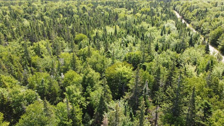 Property Photo:  Lot 7 Calabash Road  NS B1X 1K1 
