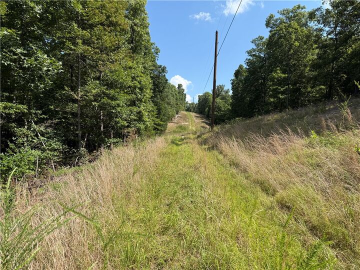 000 Tract D County Rd 516  Berryville AR 72616 photo