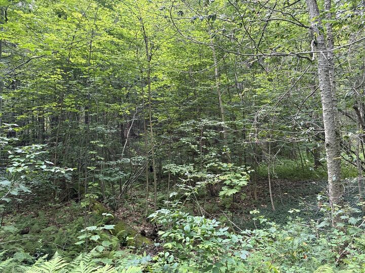 139 Taylor Brook Rd  Heath MA 01346 photo
