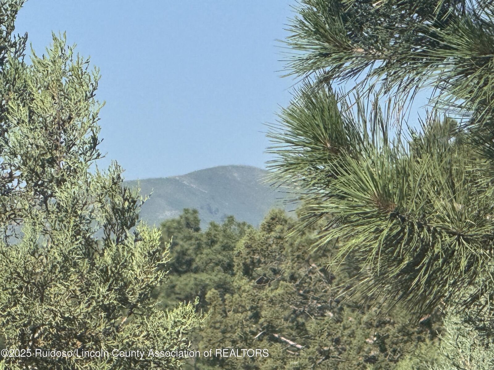 Property Photo: Lot 10A Stable Road NM 88312