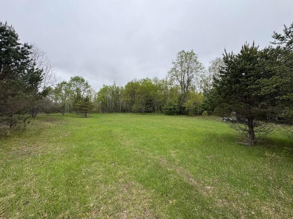 Property Photo: V/L 80 Ac W Forest Road MI 49651