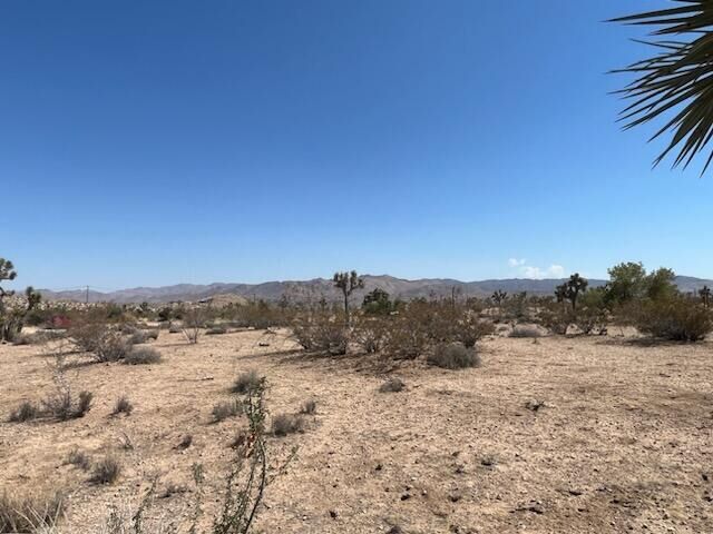 Property Photo:  0 Buena Vista Drive  CA 92284 