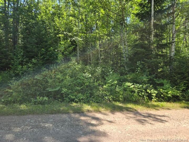 1 Morton Lane  Cumberland Bay NB E4A 3J3 photo