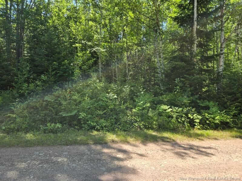 Property Photo:  1 Morton Lane  NB E4A 3J3 