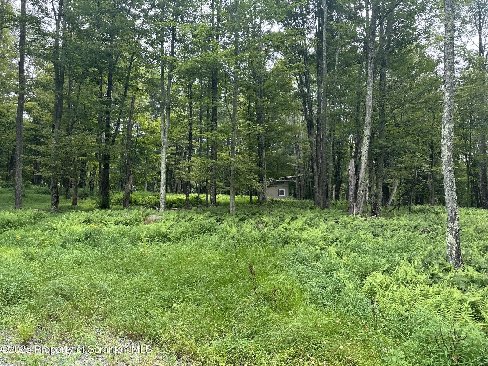 Property Photo:  Wilcox Road  PA 18630 