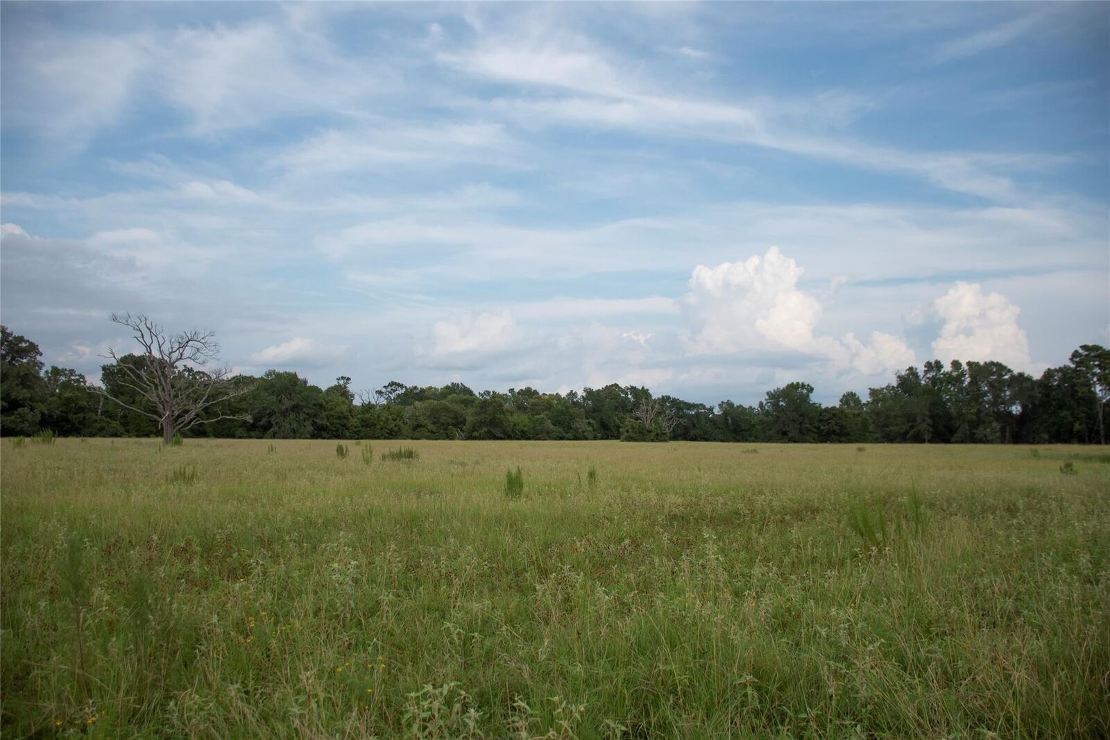 Property Photo: 1202 County Road 2255 TX 75844