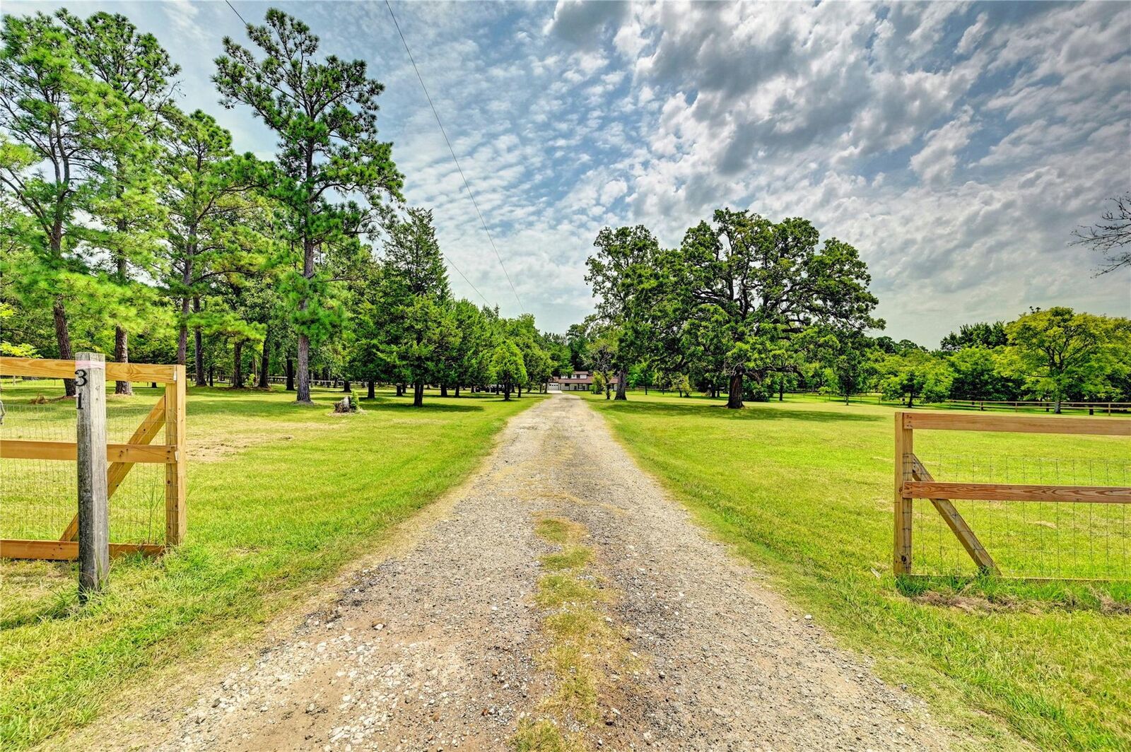Property Photo: 31 Echo Lane TX 77320