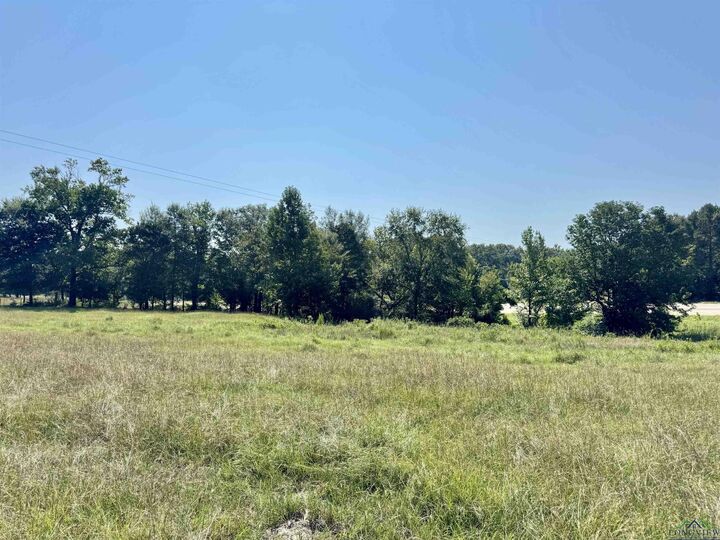 Property Photo: 0000 Hwy 59 N TX 75563