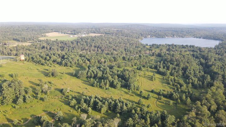 Property Photo: 324 Acres Sackett Lake Road NY 12701