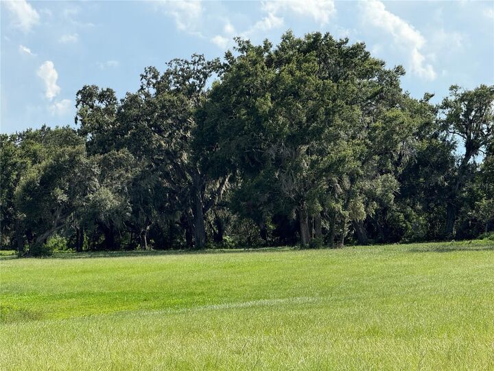 Property Photo:  C 478A  FL 33597 