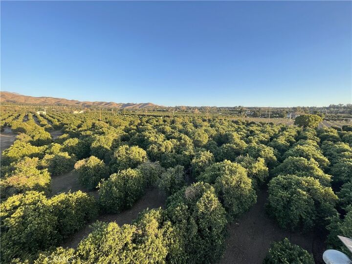 Property Photo: 31252 Citrus Avenue CA 92374