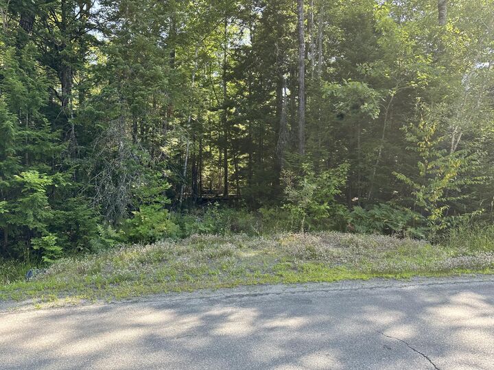 Property Photo:  Map7lot68 Kirkland Road  ME 04468 