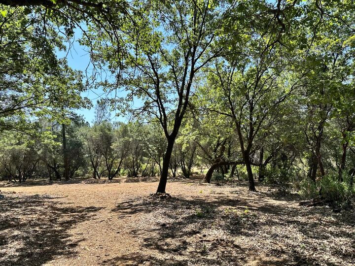 Property Photo:  1845 E Summit View Drive  CA 95722 