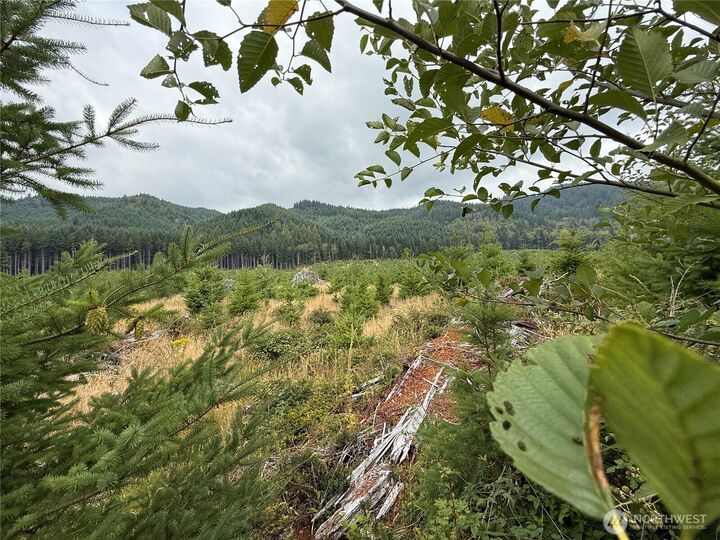 Property Photo: 327 Xx Kolisch Road E WA 98323
