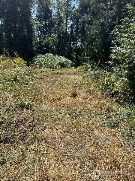 Property Photo:  7833  Renic Drive  WA 98284 
