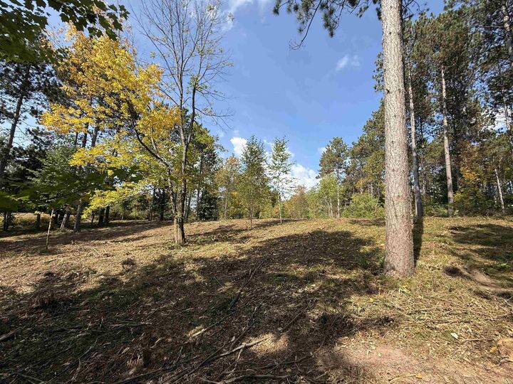 Property Photo: Burnt Pine Road 1 WI 54138