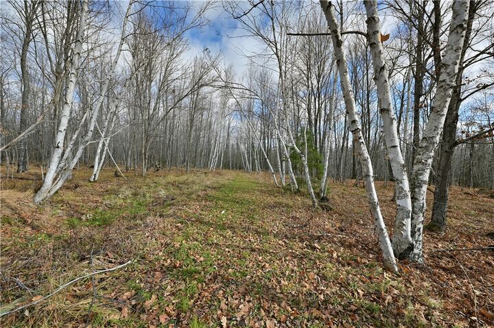 Property Photo: Tbd E County Rd A Road WI 54873