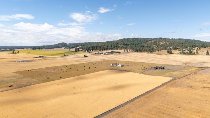 Property Photo:  246xx N Spotted Rd  WA 99006 