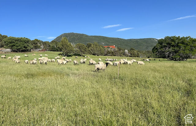 Property Photo:  900 N Clements Lane #2  UT 84629 