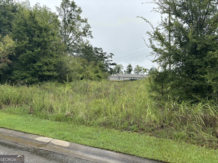 Property Photo:  130 Mill Way  GA 31061 