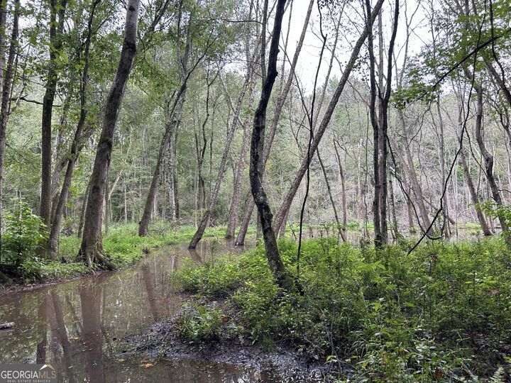 Property Photo: 0 Bush Road GA 30204