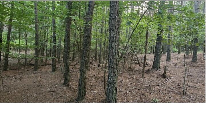 Property Photo:  0 High Point Lane  TN 37347 