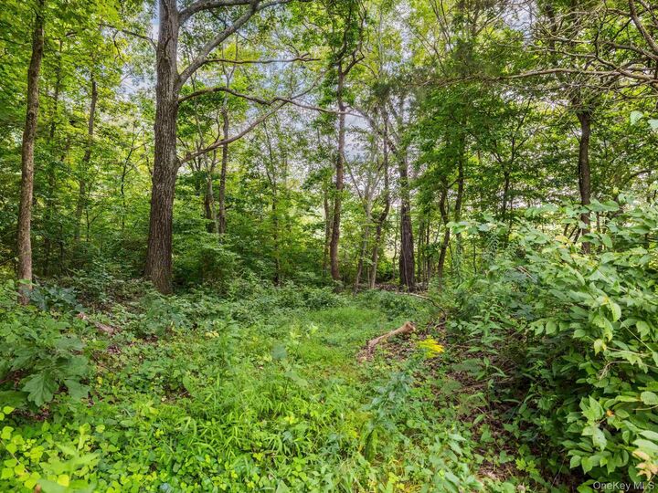 Property Photo:  399 New Paltz Road  NY 12528 