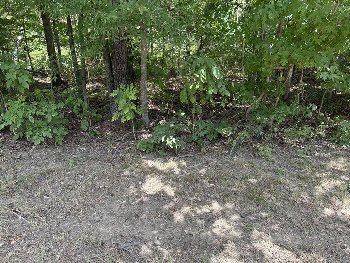 Property Photo: 0 Highway 49 TN 37061