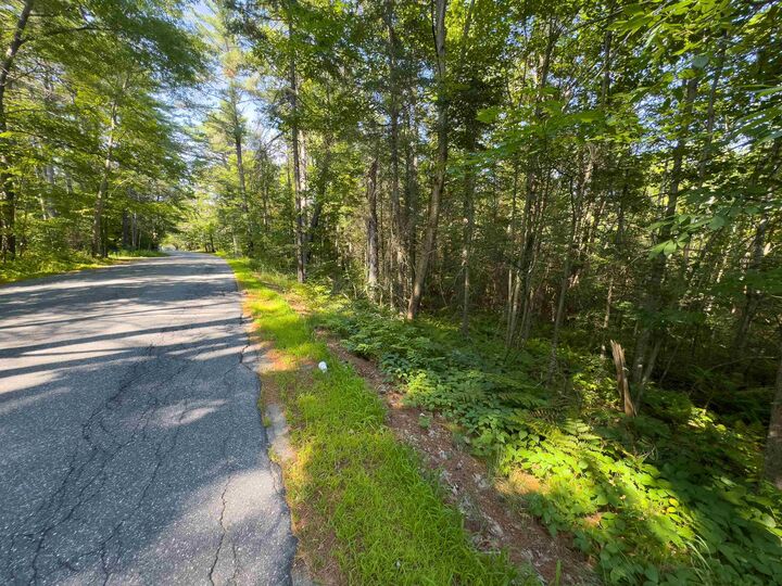 Property Photo:  00 Brushwood Road  NH 03765 